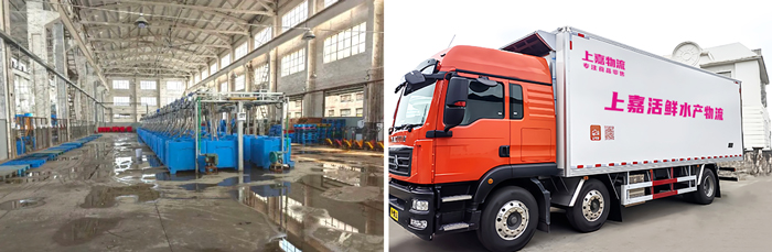 k8凯发物流 专注食品零售